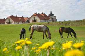 Stadnina Koni Nad Wigrami